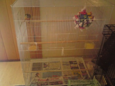 DSC02006 (648 x 486).jpg