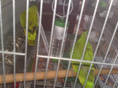 06072011676 (Small).JPG