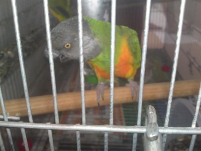 06072011681 (Small).JPG