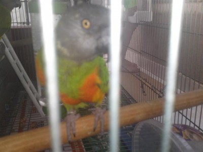 06072011686 (Small).JPG