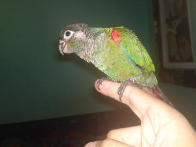 06072011691 (Small).JPG