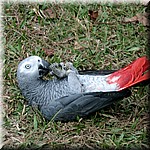 tn20041113_136.jpg