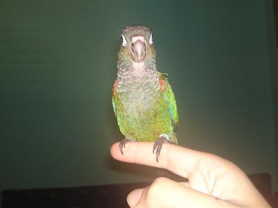 06072011692 (Small).JPG