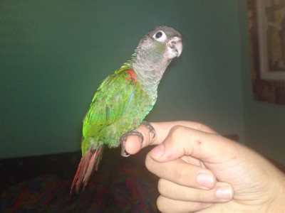 06072011693 (Small).JPG