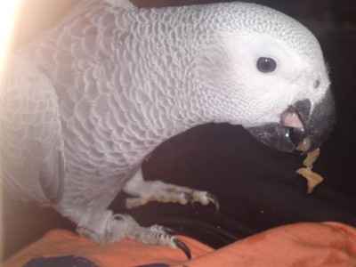 29072011712 (Small).JPG