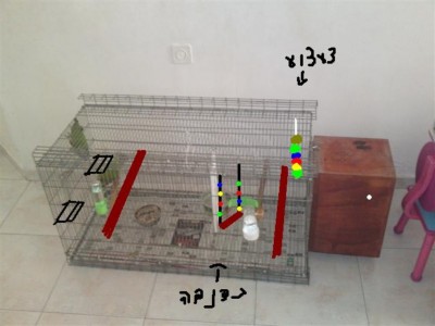 28062011643 %28Small%29 (1024 x 768).jpg