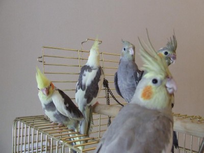 DSCF8463.JPG