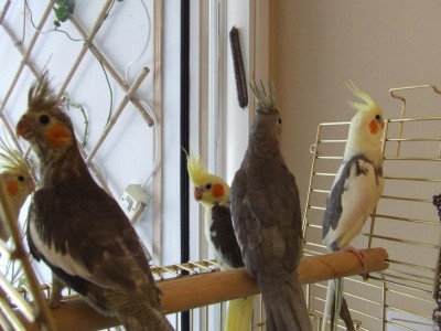 DSCF8459.JPG