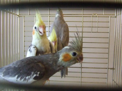 DSCF8456.JPG