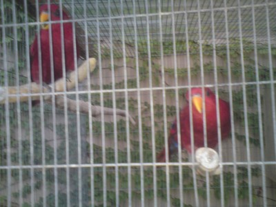 DSC01336.JPG