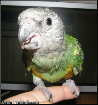 כן, כן.. אני יודע. אני חתיך הורס!