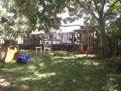 מבט כללי מהחצר על אזור התוכים. אפשר לראות את עמדת שתיית הקפה שלי בכל בוקר לפני העבודה וחדי העין יבחינו גם בחתול שכרגיל ישן במקום לבצע את תפקידו ולתפוס עכברים או נחשים