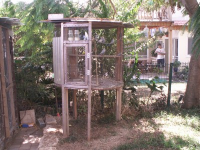 הכלוב של התוכונים שכרגע לא עובדים.