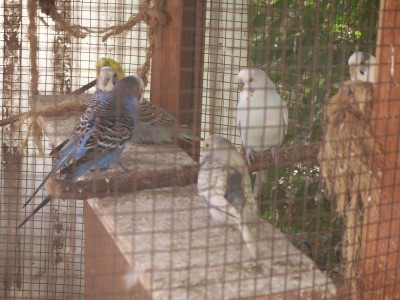 ועוד מבט פנימה