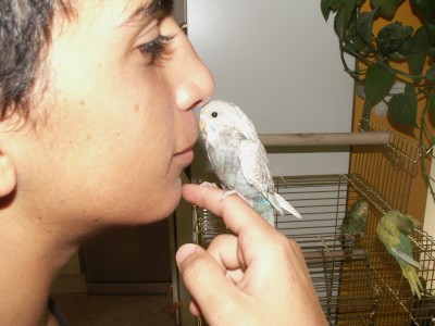 התוכון זה הימני מבין השניים...:-)