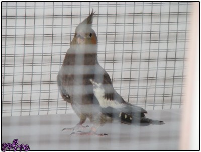 הקטן אחרי שיצא מהתא