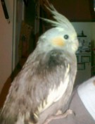 12092011189 [50%] - עותק [iPod Photo].jpg