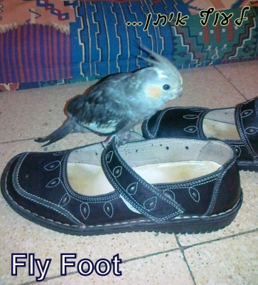 12092011169 [50%].jpg