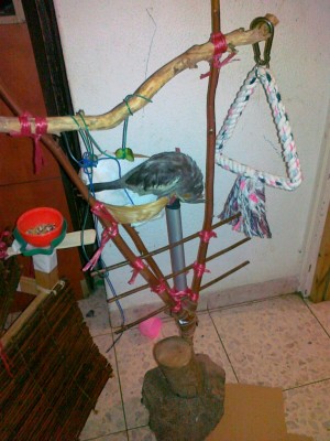 09092011165 [50%].jpg