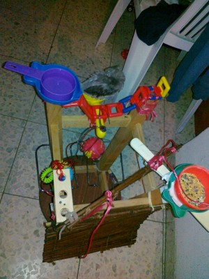 05092011159 [50%].jpg