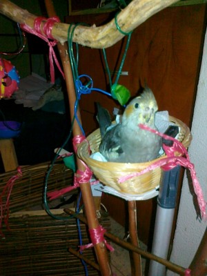 09092011162 [50%].jpg