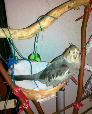 09092011163 [50%].jpg