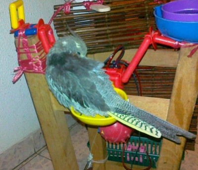 05092011156 [50%].jpg