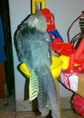 05092011158 [50%].jpg