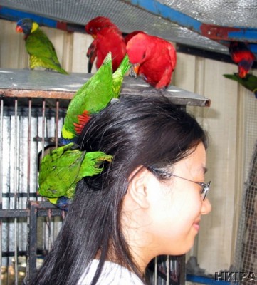 20072203_07.jpg