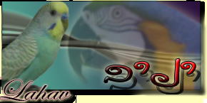 -1-4.PNG