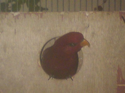 DSC01426 (Medium).JPG