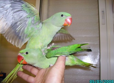 57448283pl7.jpg