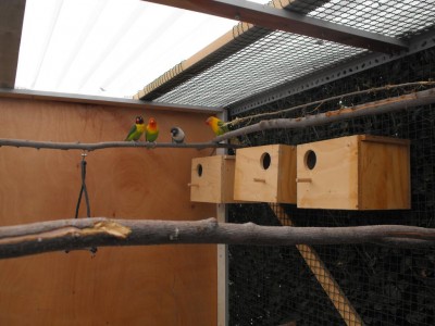 החבר'ה בבית החדש