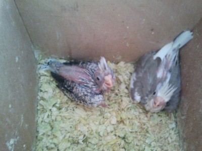 2011-11-12 10.33.09.jpg