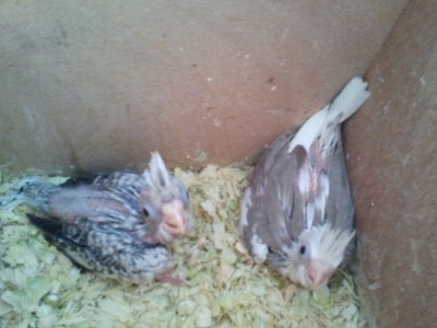 2011-11-12 10.33.20.jpg