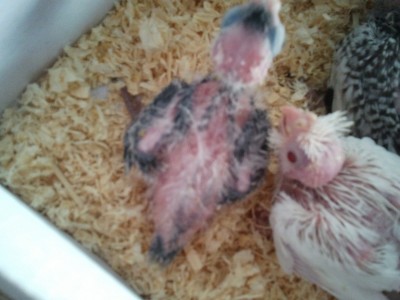 2011-11-12 10.39.06.jpg