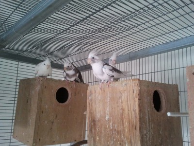 2011-11-12 10.45.24.jpg