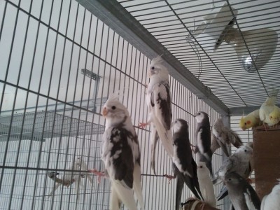 2011-11-12 10.45.31.jpg