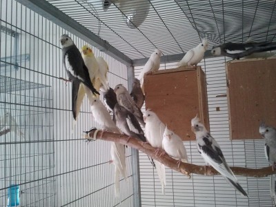 2011-11-12 10.44.22.jpg