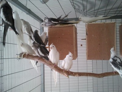 2011-11-12 10.43.32.jpg