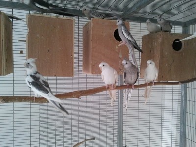 2011-11-12 10.43.24.jpg