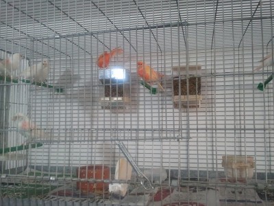 2011-11-19 09.29.56.jpg