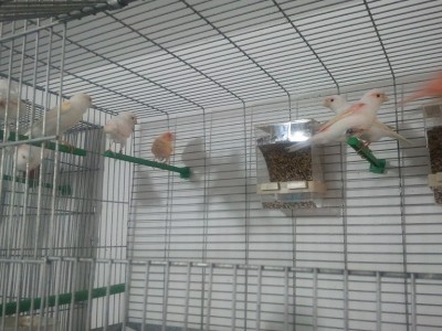 2011-11-19 09.30.16.jpg