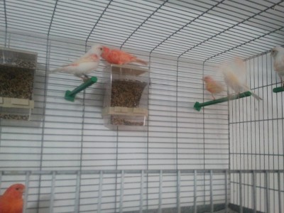 2011-11-19 09.30.23.jpg