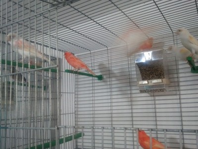 2011-11-19 09.30.39.jpg