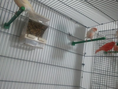 2011-11-19 09.30.56.jpg