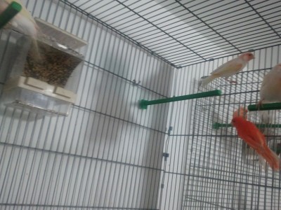 2011-11-19 09.31.12.jpg