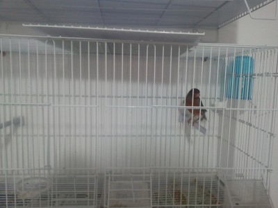 2011-11-19 09.31.34.jpg