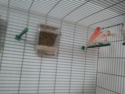 2011-11-19 09.32.40.jpg