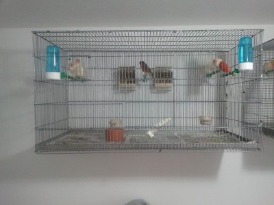 2011-11-19 09.32.12.jpg